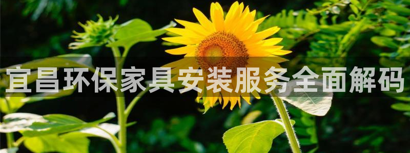 杏耀代理登录中心