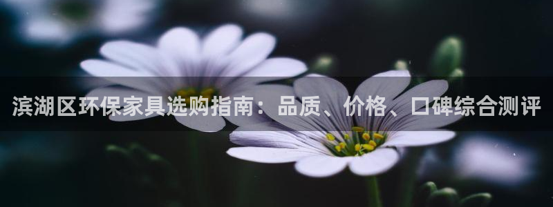 杏耀平台代理登录网址是什么