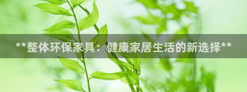 杏耀代理主管qq
