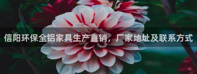 杏耀网址官网