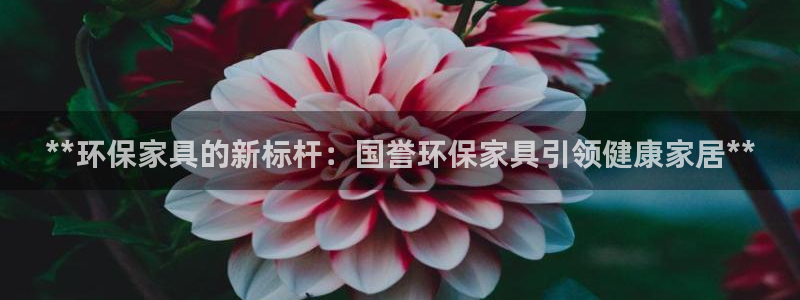 杏耀平台官网