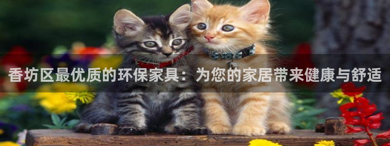 杏耀登陆测速