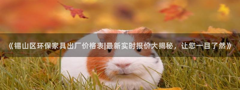 杏耀app怎样申请退款
