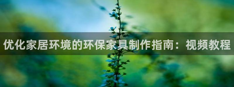 杏耀3代理
