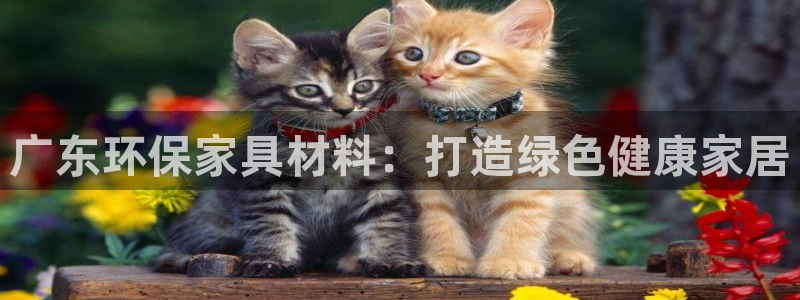 杏耀代理登录中心