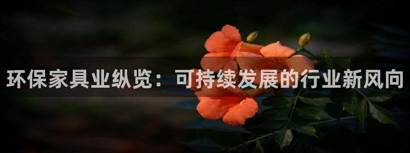 杏耀代理主管qq