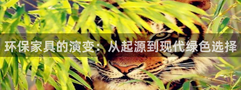 杏耀客户端登陆