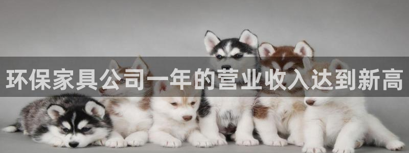 杏耀代理日工资多少