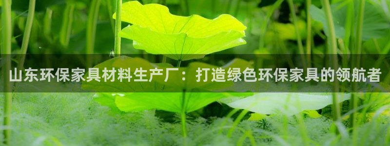 杏耀登陆：山东环保家具材料生产厂：打造绿色环保家具的领航者