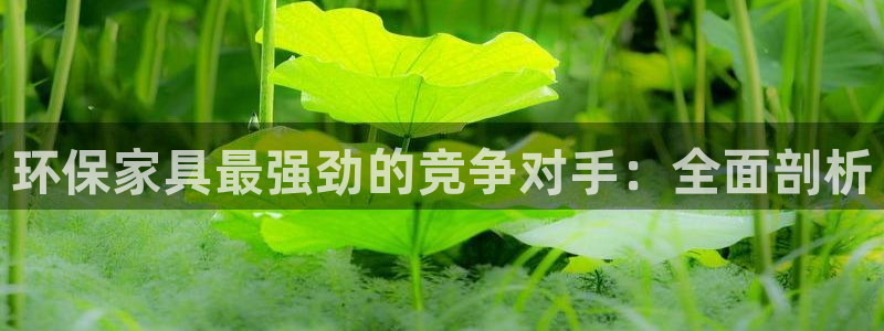 杏耀官网登陆