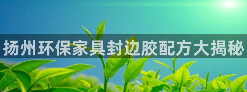 杏耀测速娱乐：扬州环保家具封边胶配方大揭秘