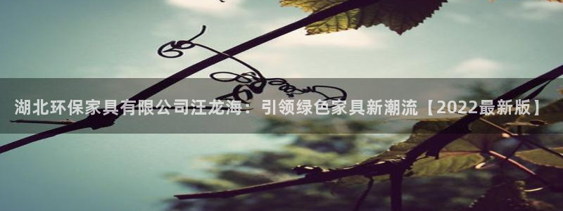 杏耀平台官方登录：湖北环保家具有限公司汪龙海：引领绿色家具新