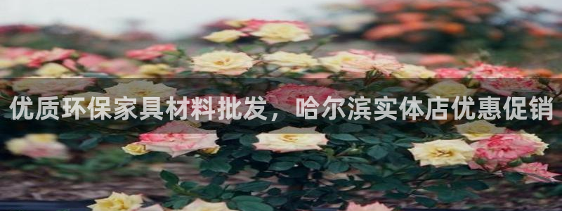杏耀代理注册开户：优质环保家具材料批发，哈尔滨实体店优惠促销