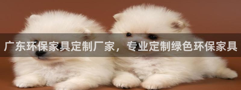 杏耀注册登录测速