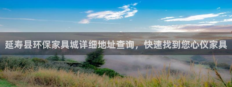 杏耀代理连接：延寿县环保家具城详细地址查询，快速找到您心仪家