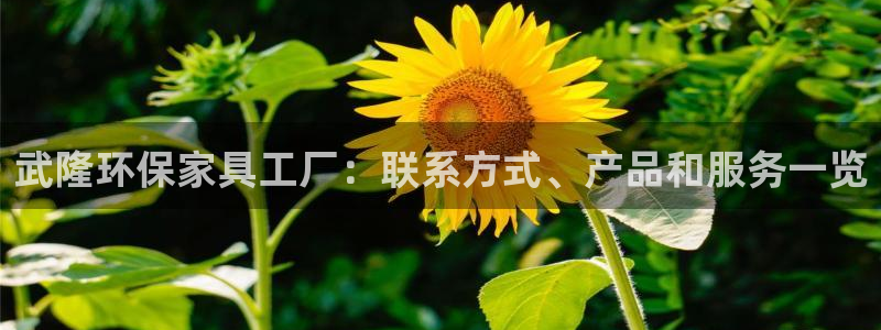 杏耀代理登录中心：武隆环保家具工厂：联系方式、产品和服务一览
