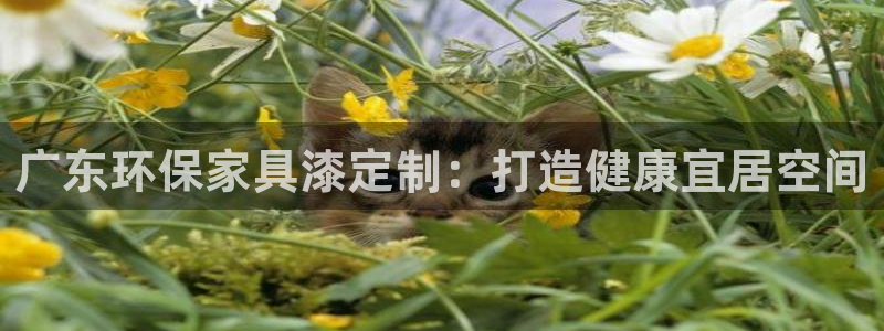 杏耀平台怎么样?